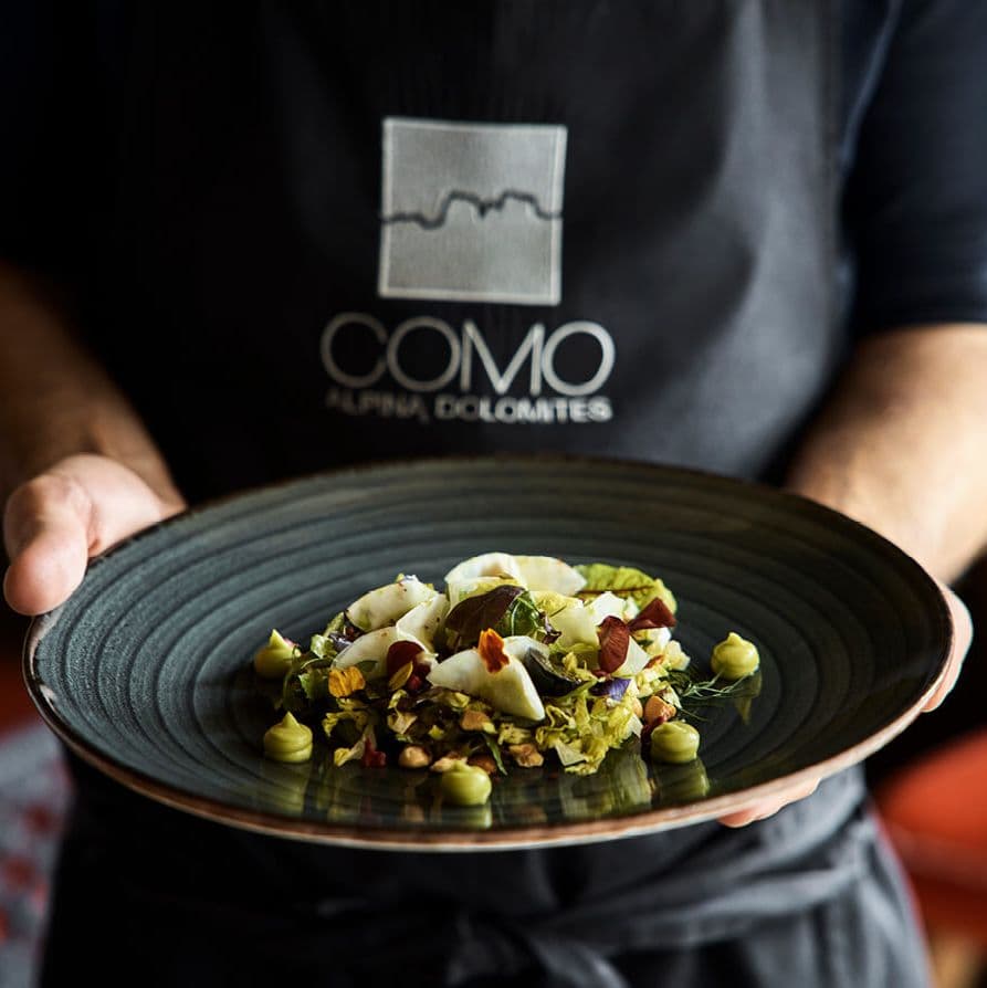 COMO Alpina Dolomites gallery 2