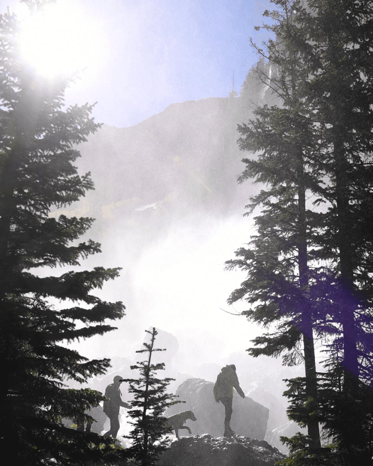 New Sheridan gallery 2