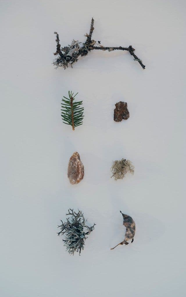 Forestis Dolomites gallery 2